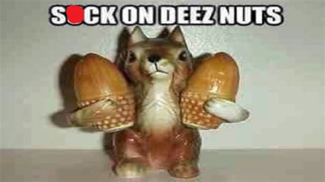 deez nuts youtube|deez nuts laughing video.